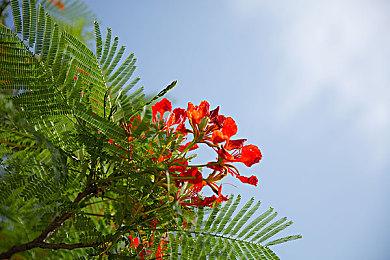 索尼停售《神秘海域4》《失落的遗产》单独版本